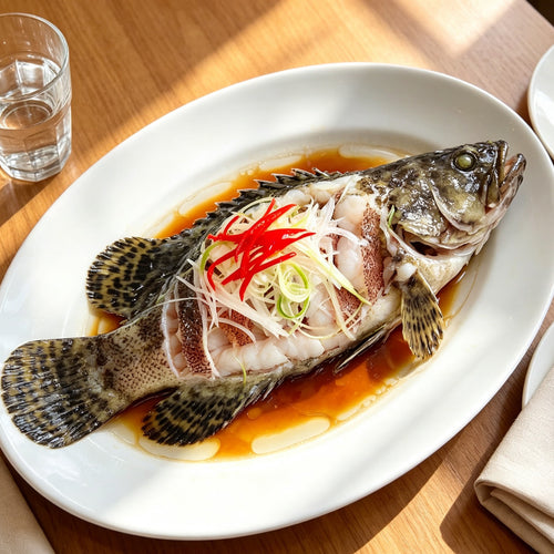 grouper - view 1
