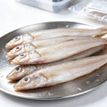 sardines - view 1
